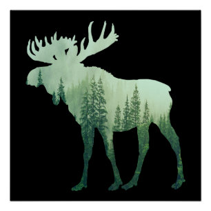 Moose Deer And Forest Nature Poster