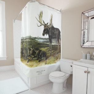 Moose Deer (Moose - Alces alces) by Audubon