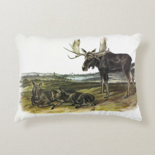 Moose Deer (Moose - Alces alces) by Audubon Accent Pillow
