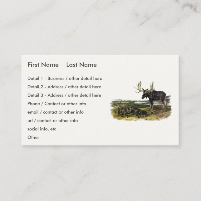 Moose Deer (Moose - Alces alces) by Audubon Business Card (Front)
