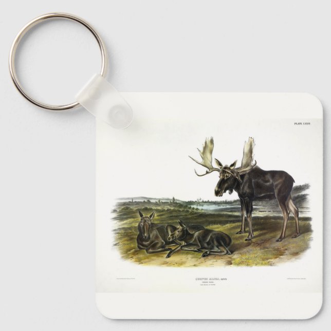 Moose Deer (Moose - Alces alces) by Audubon Keychain (Front)