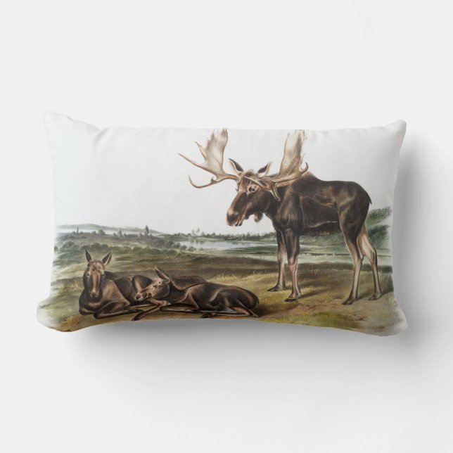 Moose Deer (Servus alces) Illustration Lumbar Pillow (Front)