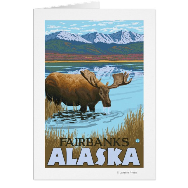 Moose Drinking at Lake - Fairbanks, Alaska (Front)