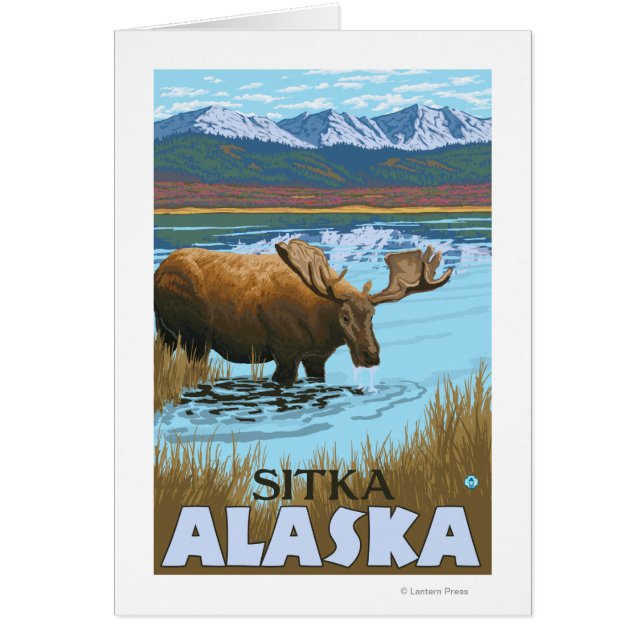 Moose Drinking at Lake - Sitka, Alaska (Front)