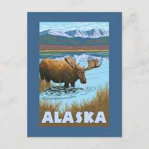 Moose Drinking Water Vintage Travel Poster Postcard