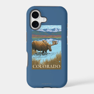 Moose DrinkingColorado