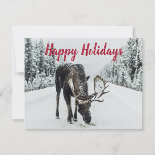 Moose En Hiver Guide Wilderness De Neige Carte De