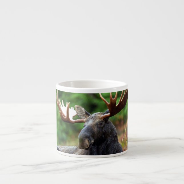 Moose Espresso Cup (Front)