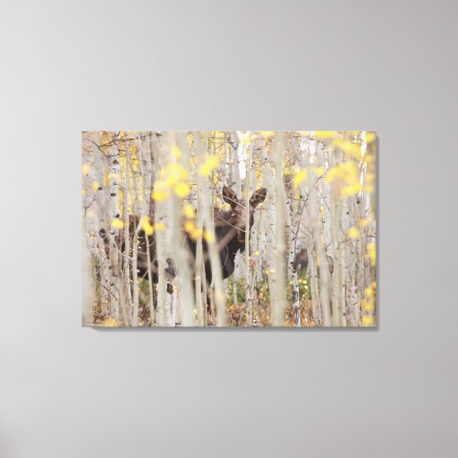 Moose Family in the Aspens Canvas Art (Front)