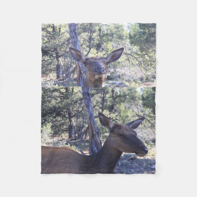 Moose Fleece Blanket (Front)