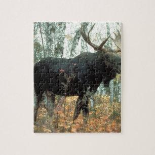 Moose Forest Trees Park Animal Wildlife Art Jigsaw Puzzle