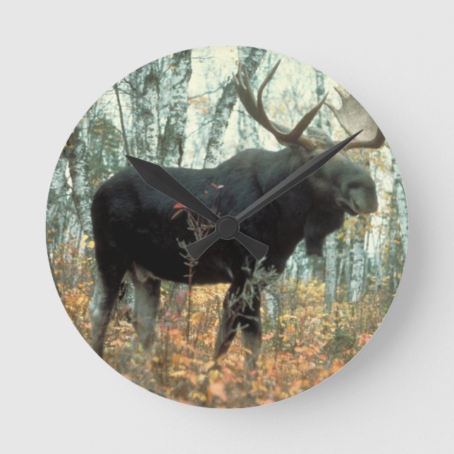 Moose Forest Trees Park Animal Wildlife Art Round Clock (Front)