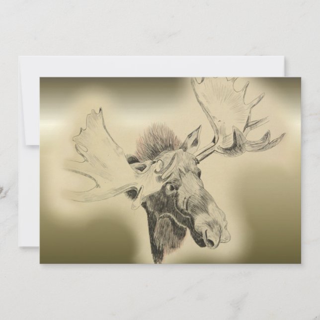 Moose Head Sketch (Front)