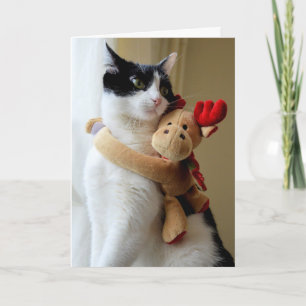 Moose Hugging Kitty Cat Christmas Greeting Card