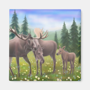 Moose in a Northern Forest Magnet