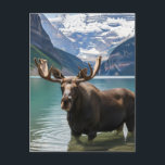 Moose in Banff National Park Canada Postcard<br><div class="desc">Nestled amidst the majestic Canadian Rockies, Banff National Park is a true wilderness haven, where towering mountains, crystal-clear lakes, and verdant forests create a landscape of unparalleled beauty. Established in 1885, it holds the distinction of being Canada's first national park and continues to captivate visitors with its awe-inspiring scenery and...</div>