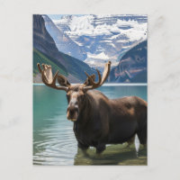 Moose in Banff National Park Canada