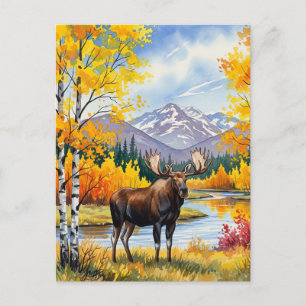 Moose in Denali National Park Alaska Vintage Postcard