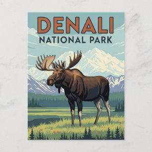 Moose in Denali National Park Alaska Vintage Postcard