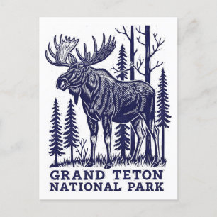 Moose in Grand Teton National Park Postcard