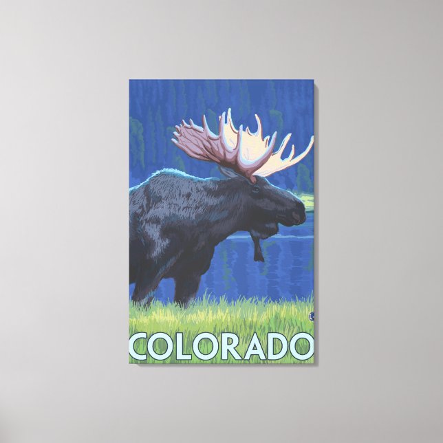 Moose in MoonlightColorado Canvas Print (Front)
