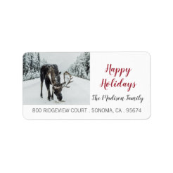 Moose Return Address Labels | Zazzle CA