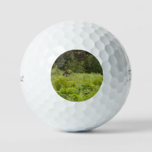 Moose in the Grass Golf Ball - AK Wildlife Design