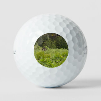 Moose in the Grass Golf Ball - AK Wildlife Design