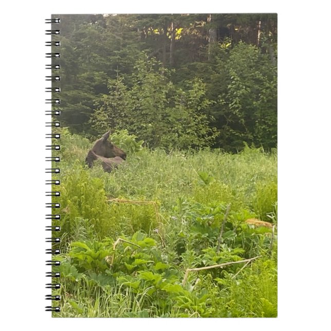 Moose in the Grass Notebook (Front)