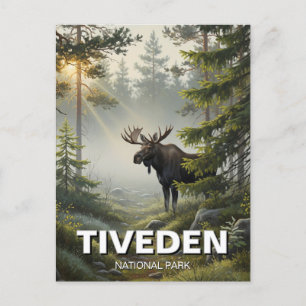 Moose in Tiveden National Park Sweden Travel Postcard