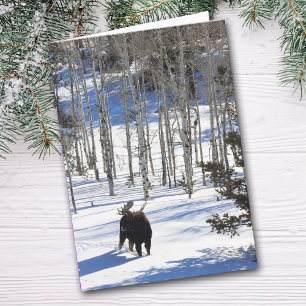 Moose in Winter All Occasion Greeting Card