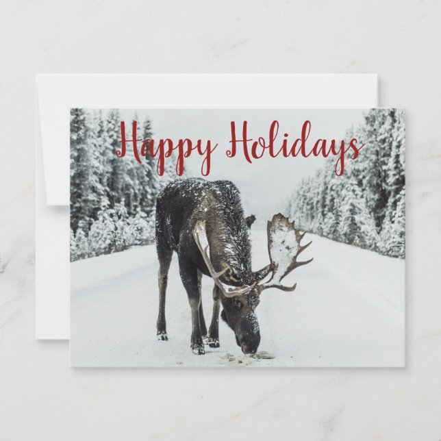 Moose In Winter Snow Holiday Card (Front)