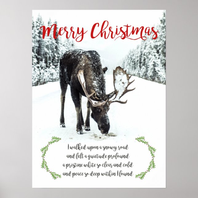 Moose In Winter Snow Photo Verse Merry Christmas Poster (Front)