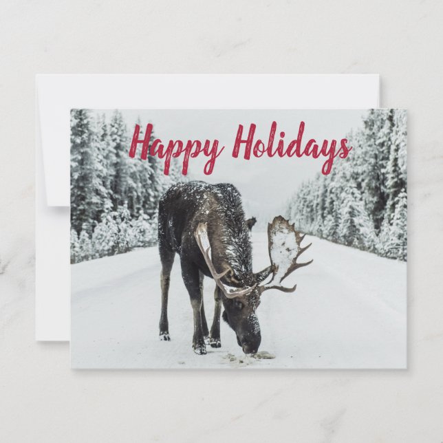 Moose In Winter Snow Wilderness Guide Holiday Card (Front)