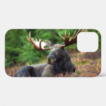 Moose iPhone 12 Case