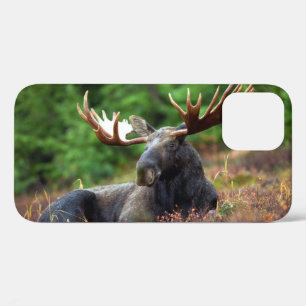 Moose iPhone 12 Case