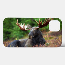 Moose iPhone 13 Case