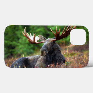 Moose iPhone 13 Coque