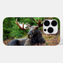 Moose iPhone 14 Pro Case
