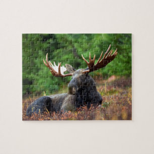 Moose Jigsaw Puzzle