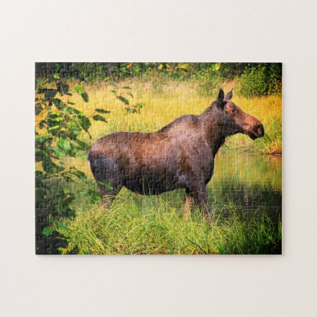 Moose Jigsaw Puzzle (Horizontal)