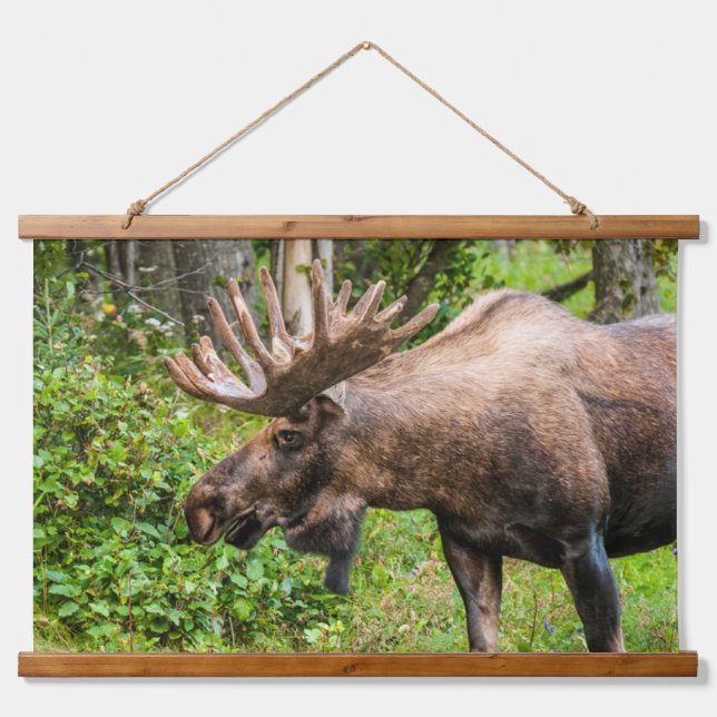 Moose | Kenai Peninsula, Alaska Hanging Tapestry (Front)