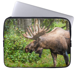 Moose Kenai Peninsula, Alaska Laptop Sleeve