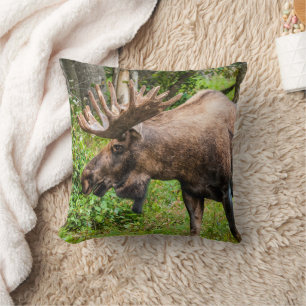 Moose   Kenai Peninsula, Alaska Throw Pillow
