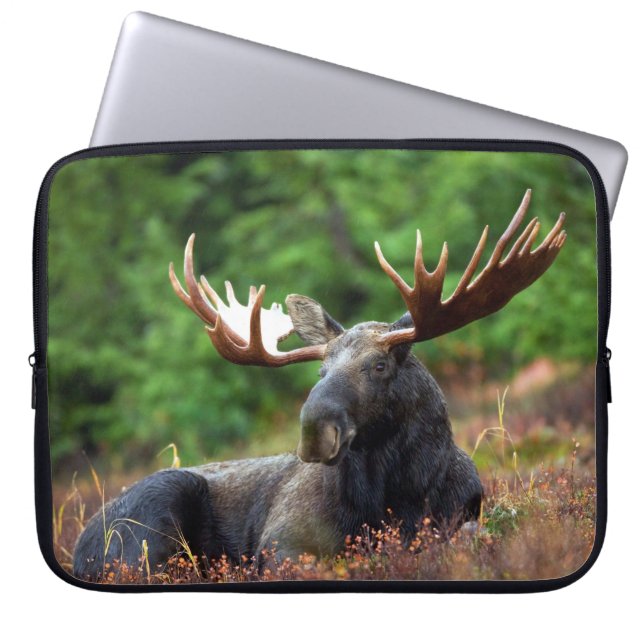 Moose Laptop Sleeve (Front)