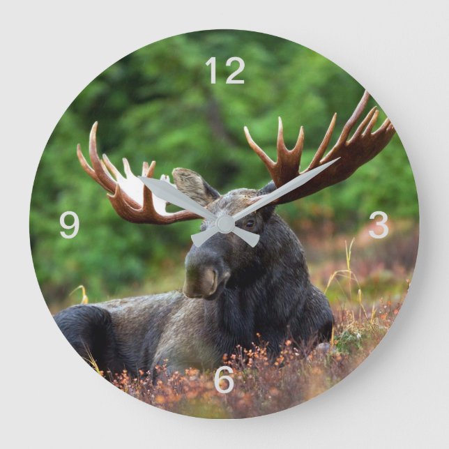 Moose Large Clock (Front)