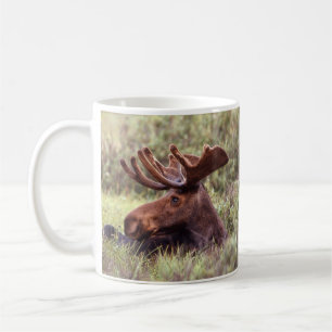 Moose Lounging Mug