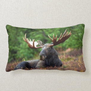 Moose Lumbar Pillow