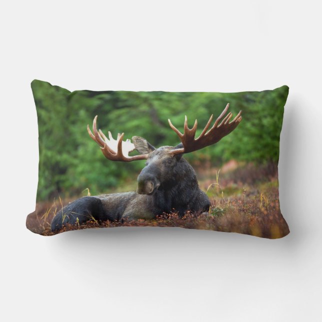 Moose Lumbar Pillow (Front)