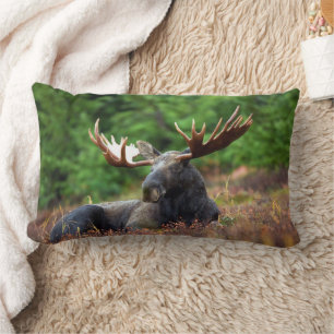 Moose lumbar pillow